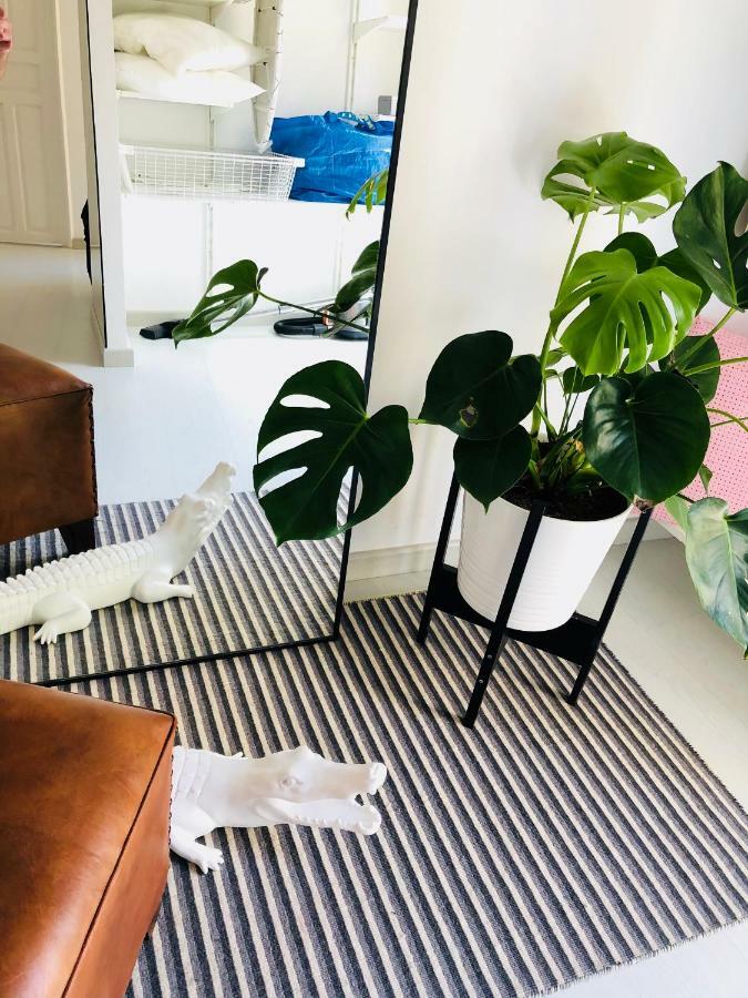 White Loft Alicante Zewnętrze zdjęcie